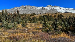 Wilcox Pass - Parc National de Jasper